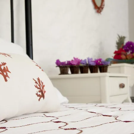 Проживание в семье Mercan Koesk