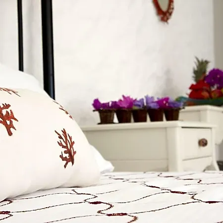 Mercan Pansiyon Alaçatı